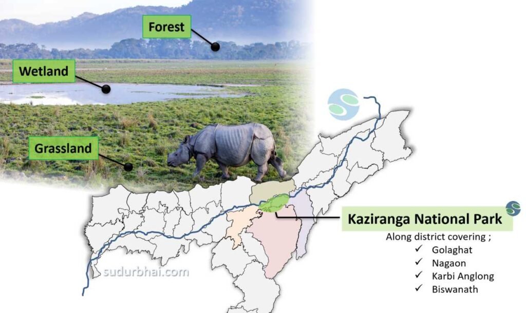Kaziranga National Park