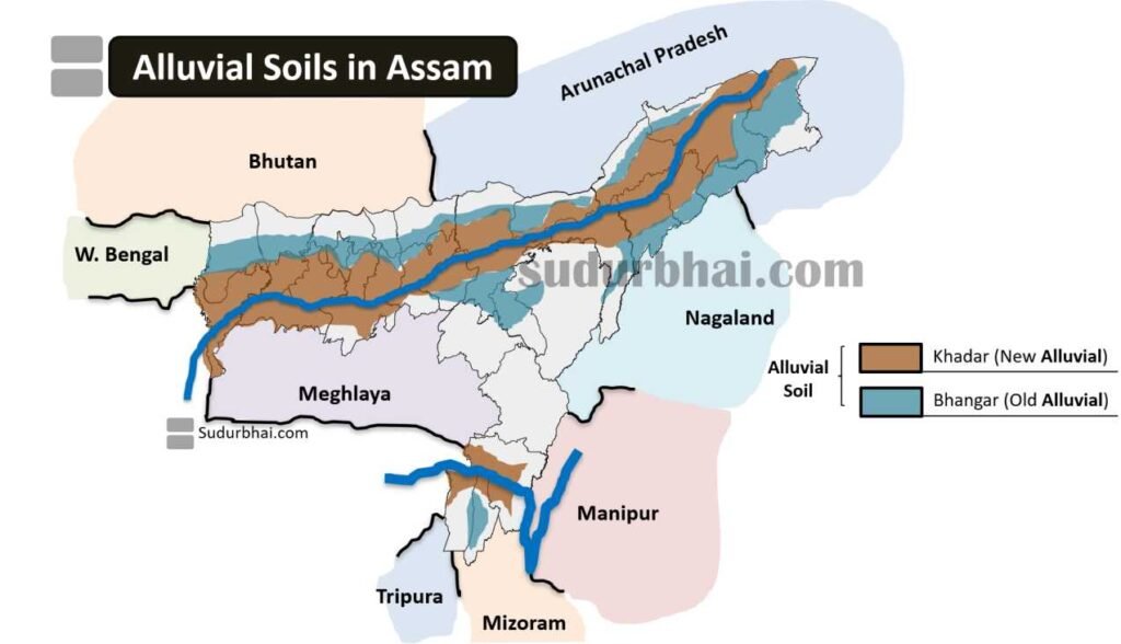 Alluvial soil Assam