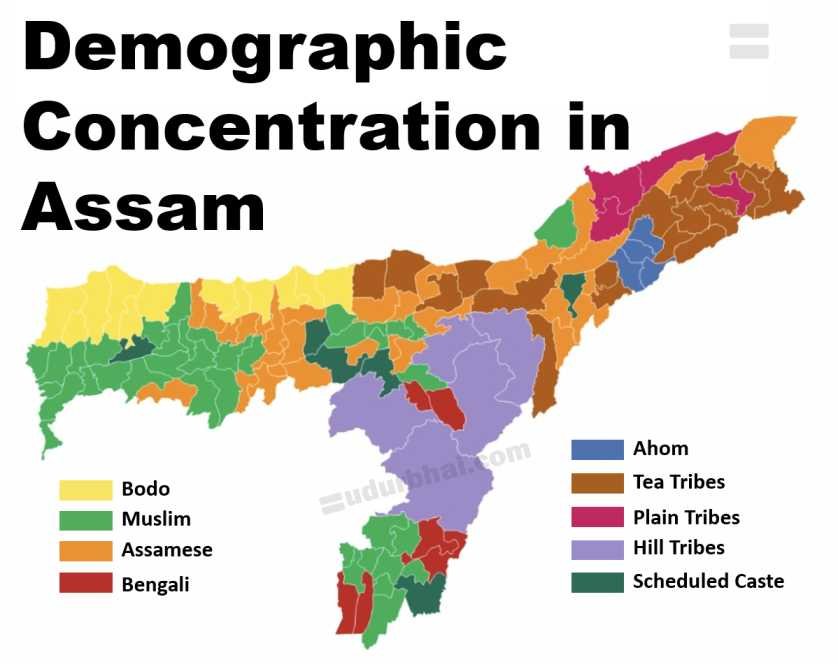 Demographic concentration in Assam