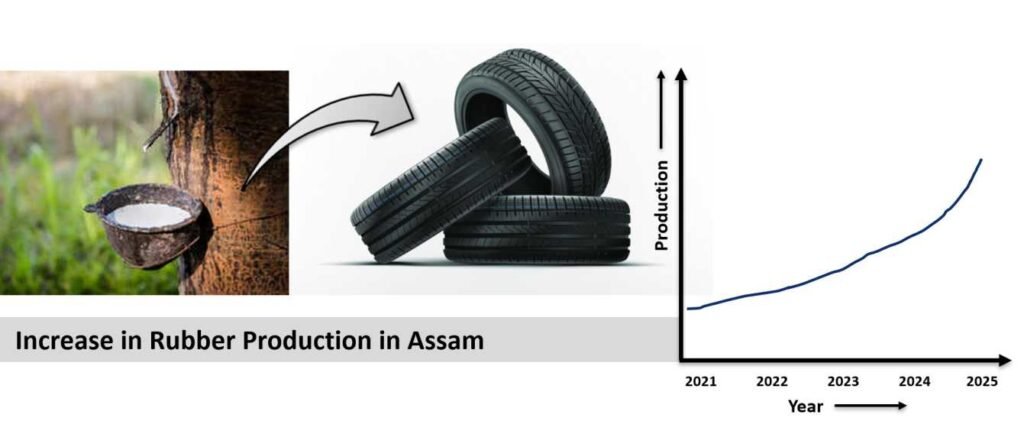 Rubber Production in Assam
