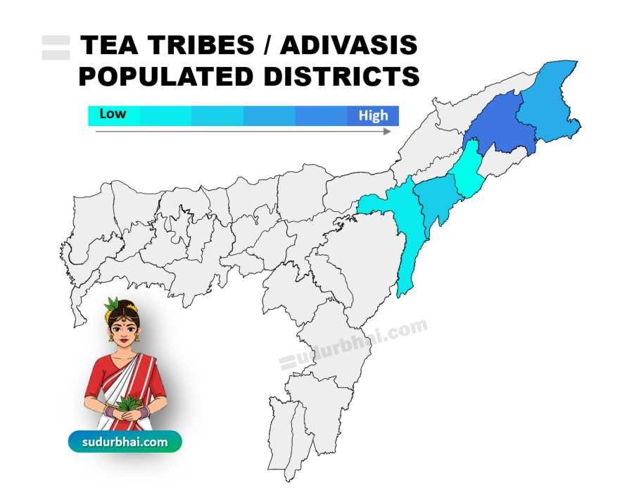 Tea tribe