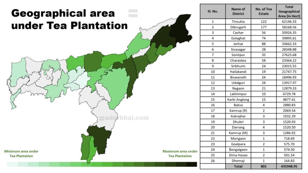 Assam Tea Production districts