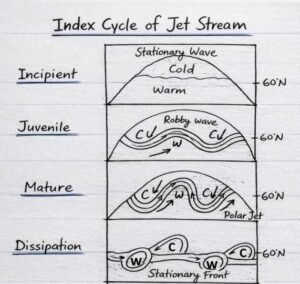 Index cycle of Jet Stream