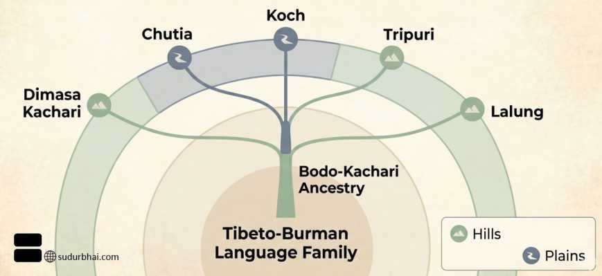 Kacharis background | sudurbhai.com