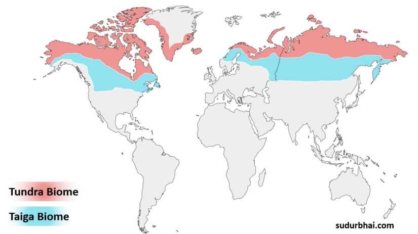 Taiga biome Tundra Biome | sudurbhai.com