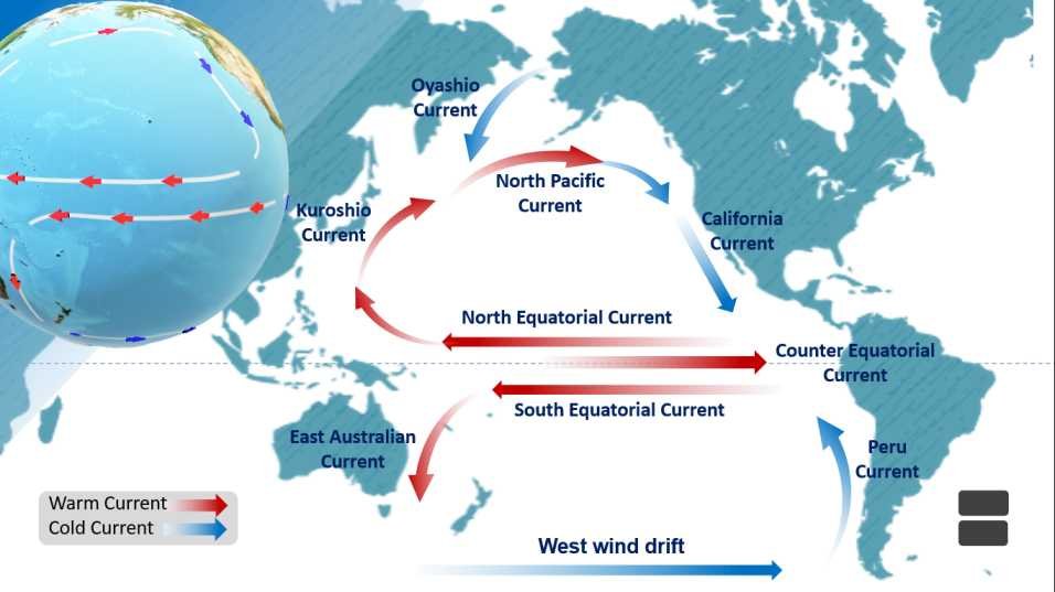 Pacific Ocean Currents