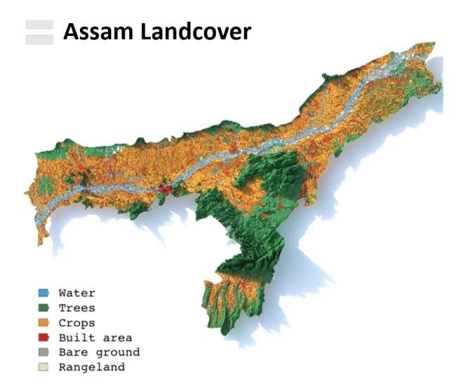 Assam Landcover