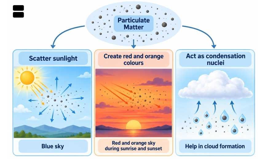 Role of Particulate Matters in Atmosphere
