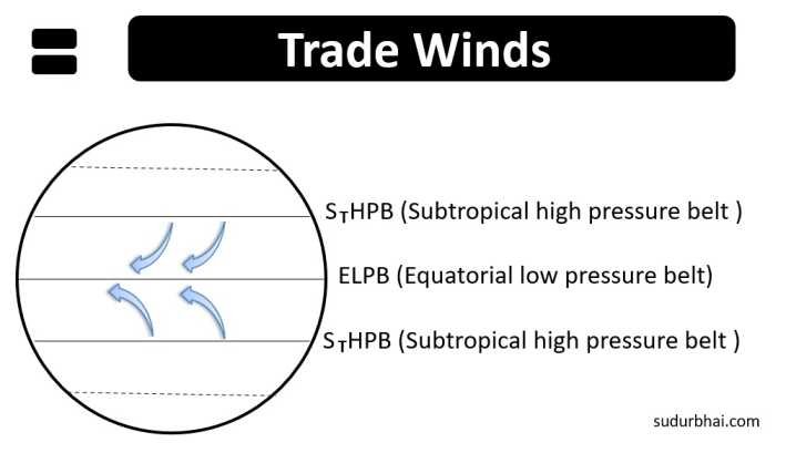 Trade Winds