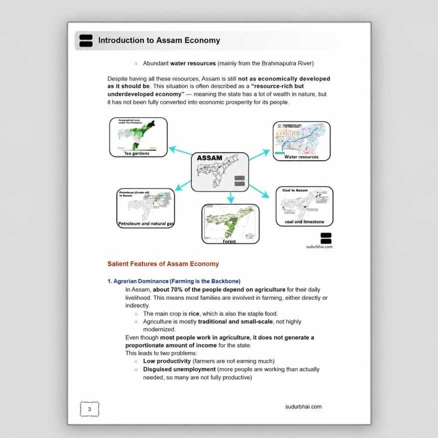 Assam Economy eBook